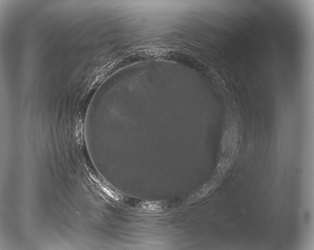 X0000086260624200703291435