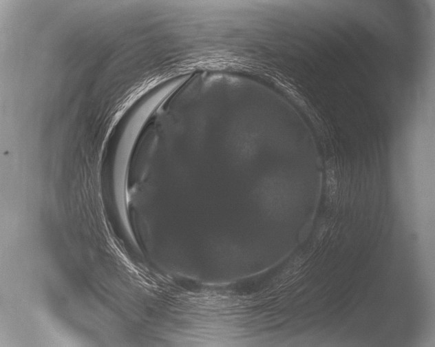 X0000086260626200703291434