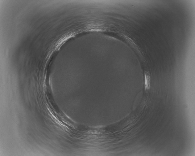 X0000086260627200703291434