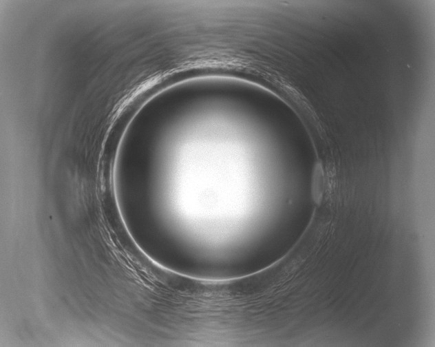 X0000086260628200703291434