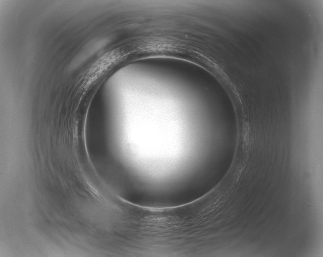 X0000086260629200703291434