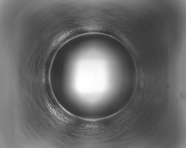 X0000086260631200703291434