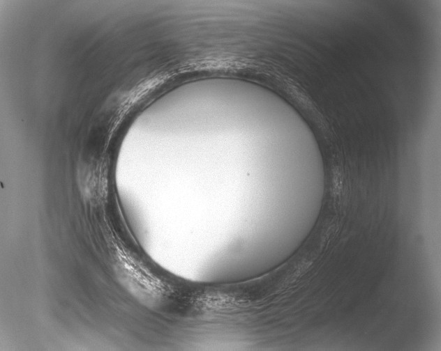 X0000086260632200703291434