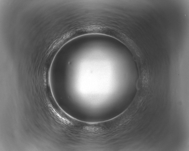 X0000086260633200703291434