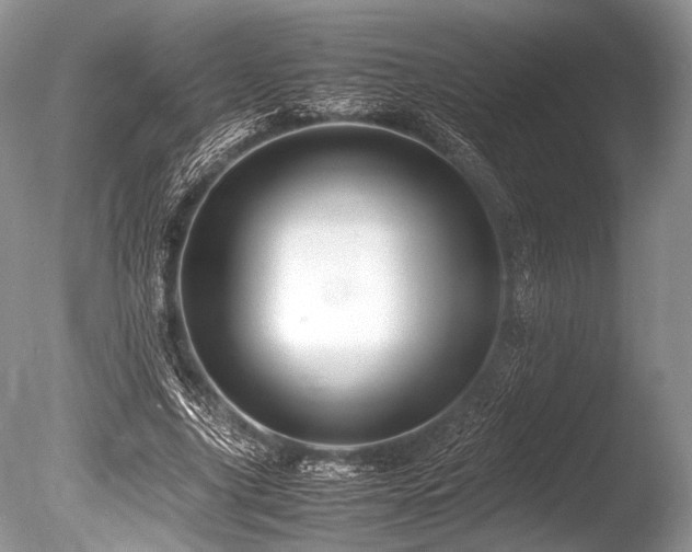 X0000086260635200703291434