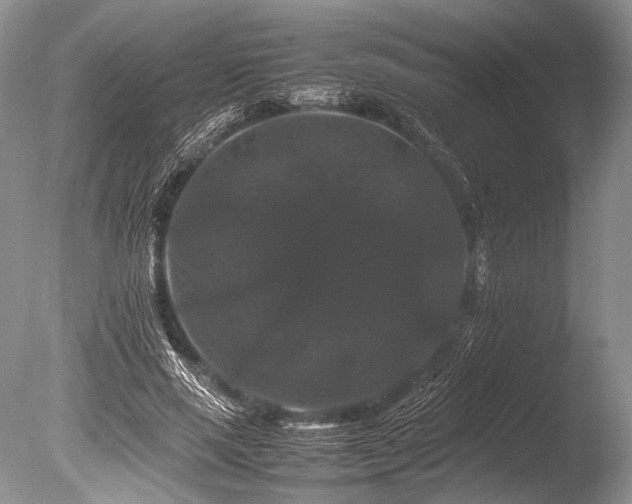X0000086260637200703291434