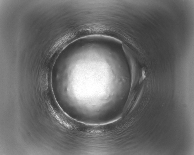 X0000086260638200703291434