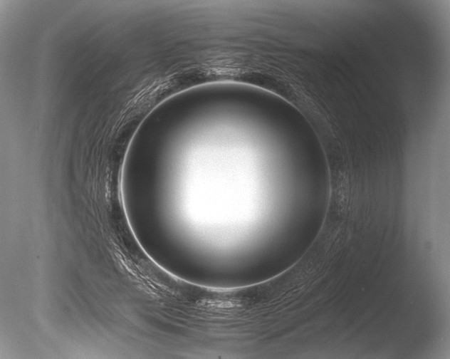 X0000086260639200703291434