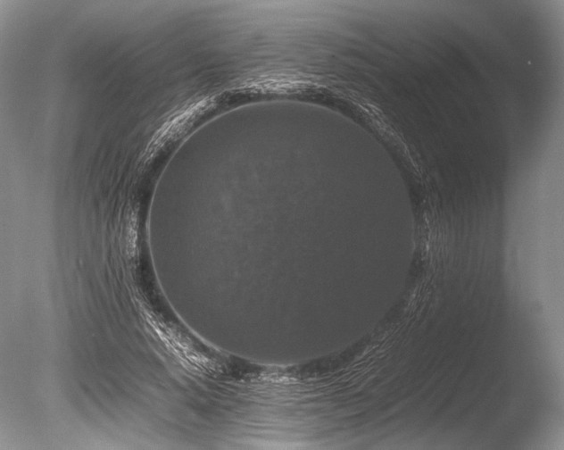 X0000086260640200703291434