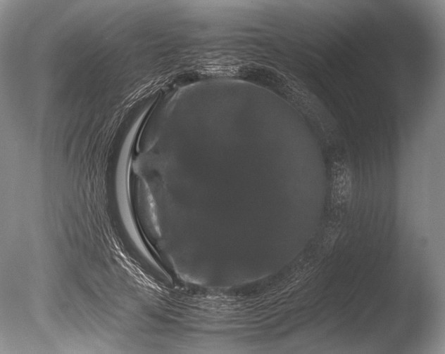 X0000086260641200703291434