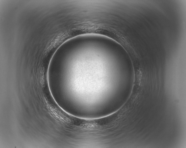 X0000086260642200703291434