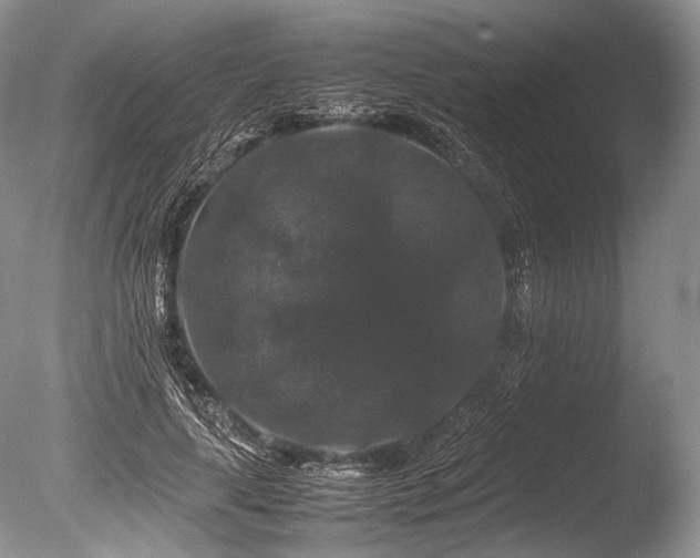 X0000086260643200703291434