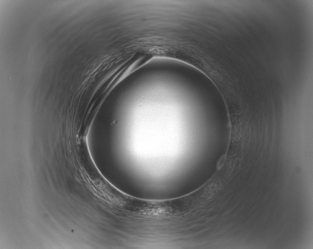 X0000086260646200703291434