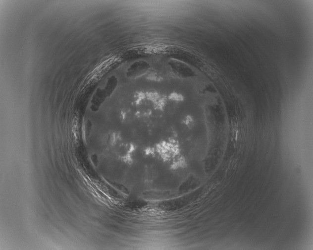 X0000086260648200703291434