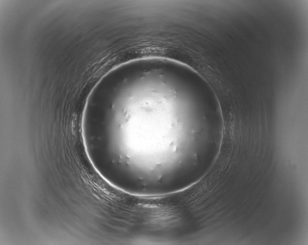 X0000086260649200703291434