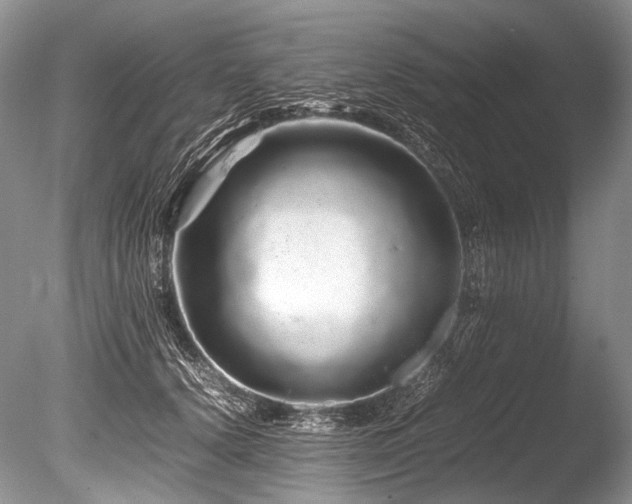 X0000086260656200703291434