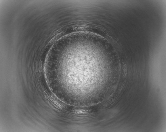 X0000086260657200703291434