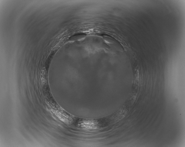 X0000086260659200703291434