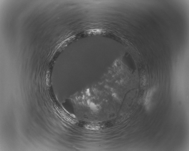 X0000086260661200703291434