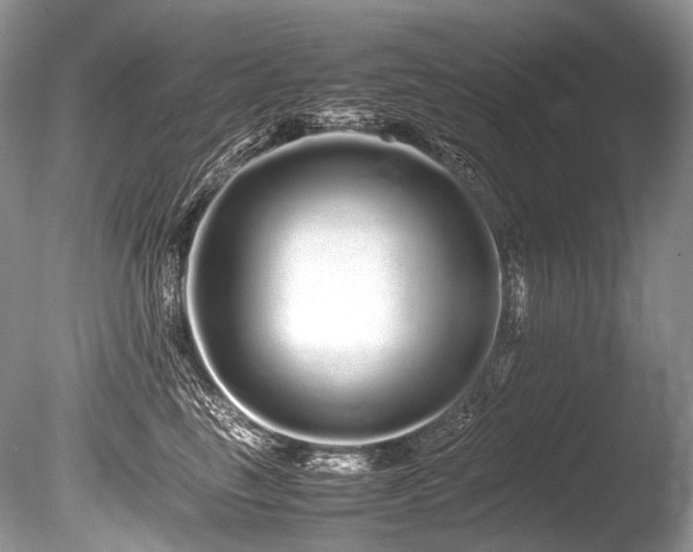 X0000086260665200703291435