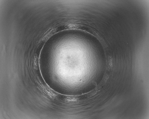 X0000086260667200703291435