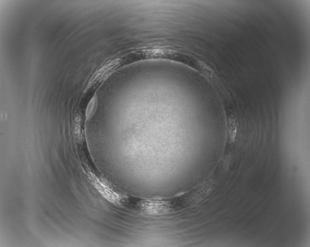 X0000086260670200703291435