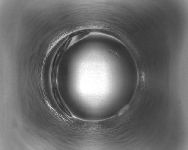 X0000086260676200703291434