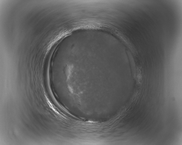 X0000086260677200703291434