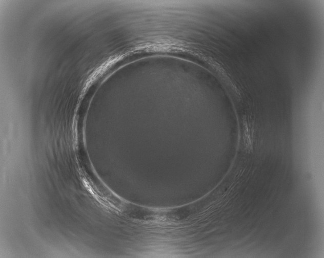 X0000086260678200703291434