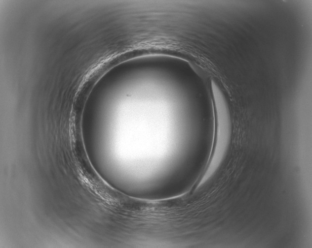X0000086260680200703291434