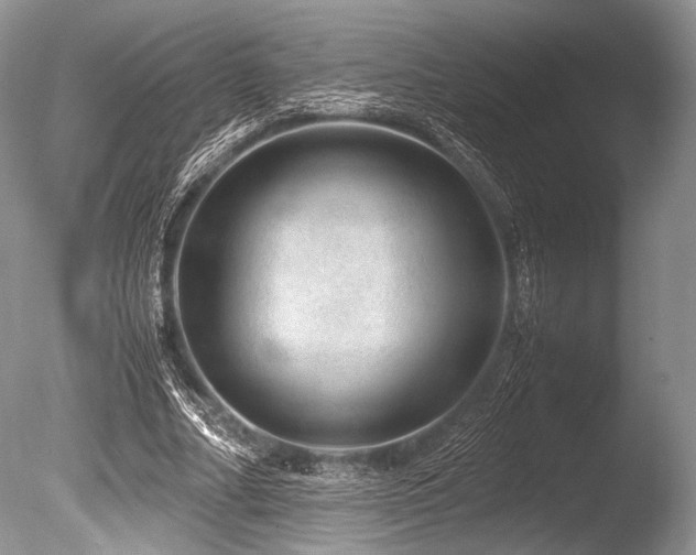 X0000086260682200703291434