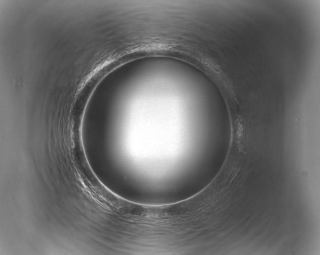 X0000086260684200703291434