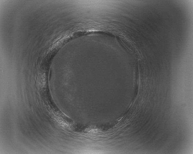X0000086260689200703291434