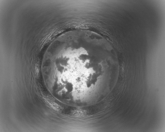 X0000086260691200703291434