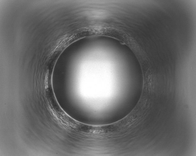 X0000086260694200703291433