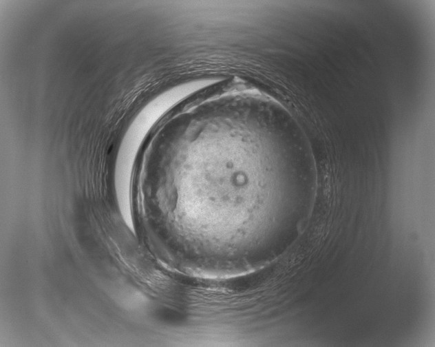 X0000086260695200703291433