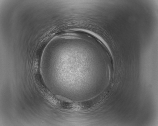 X0000086260697200703291433