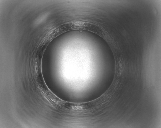 X0000086260698200703291433