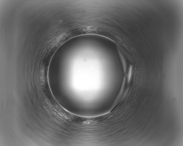 X0000086260700200703291433