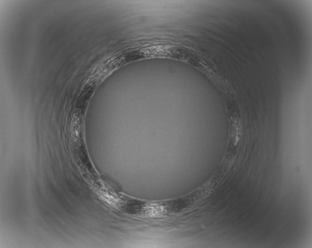 X0000086260701200703291433