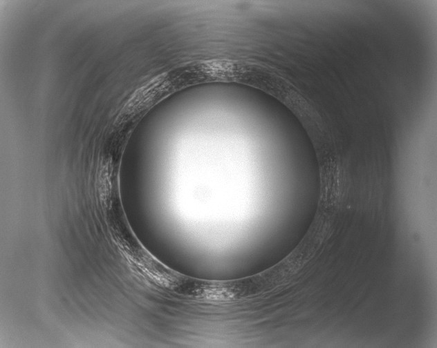 X0000086260702200703291433