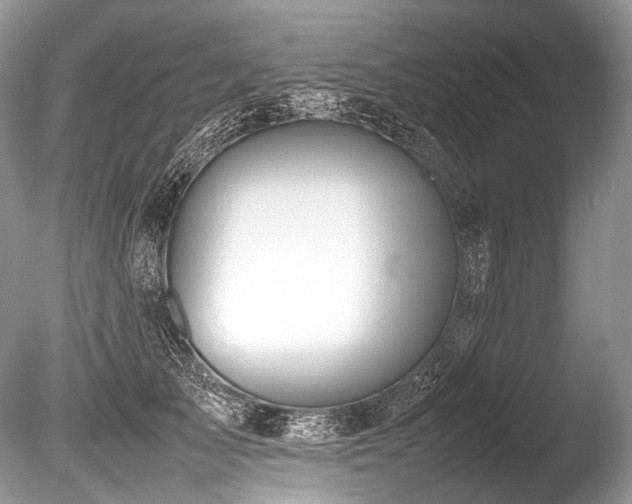 X0000086260705200703291433