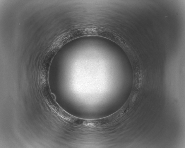 X0000086260706200703291433