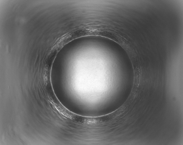 X0000086260710200703291433
