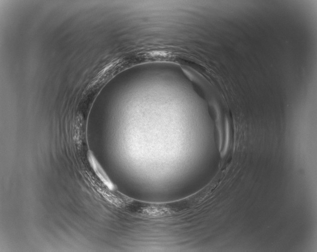 X0000086260712200703291433