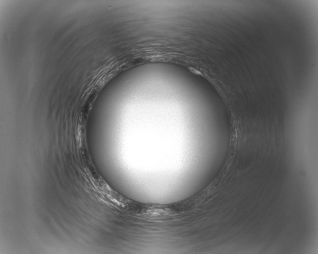 X0000086260716200703291433