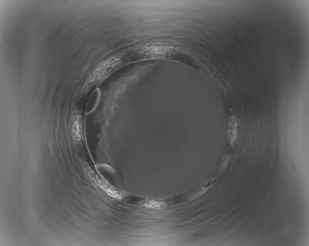 X0000086260718200703291433