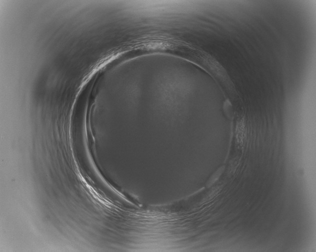X0000086260722200703291432