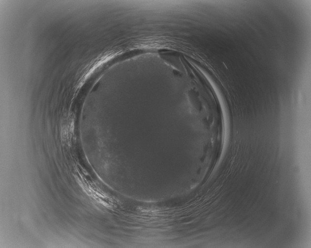 X0000086260723200703291432