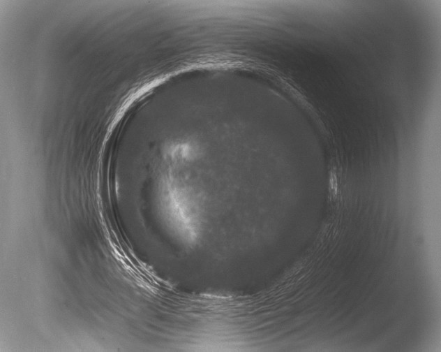 X0000086260724200703291432